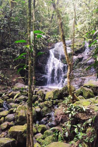 Trilha da Cachoeira Escondida Paranapiacaba